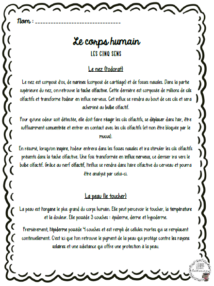 Sciences - Le corps humain - 3e cycle