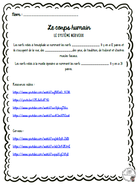 Sciences - Le corps humain - 3e cycle
