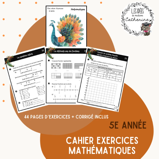 Version IMPRIMÉE & BOUDINÉE - Cahier d'exercices mathématiques - 5e année
