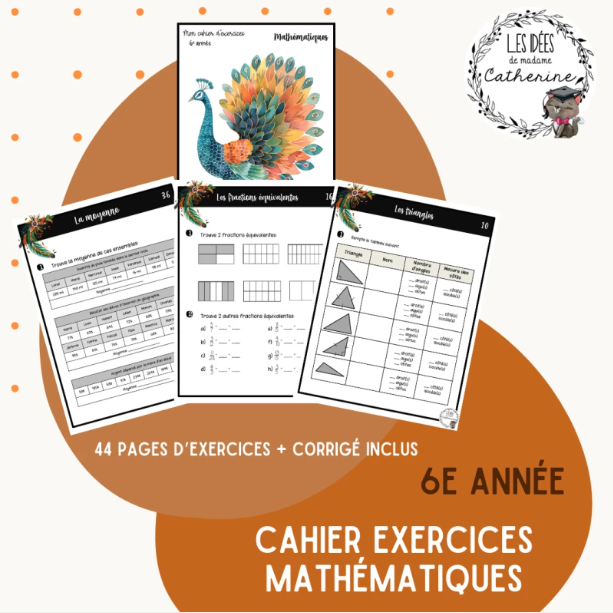 Version IMPRIMÉE & BOUDINÉE - Cahier d'exercices mathématiques - 6e année