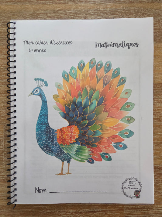 Version IMPRIMÉE & BOUDINÉE - Cahier d'exercices mathématiques - 6e année
