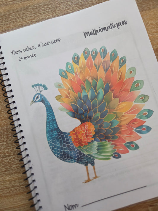 Version IMPRIMÉE & BOUDINÉE - Cahier d'exercices mathématiques - 6e année