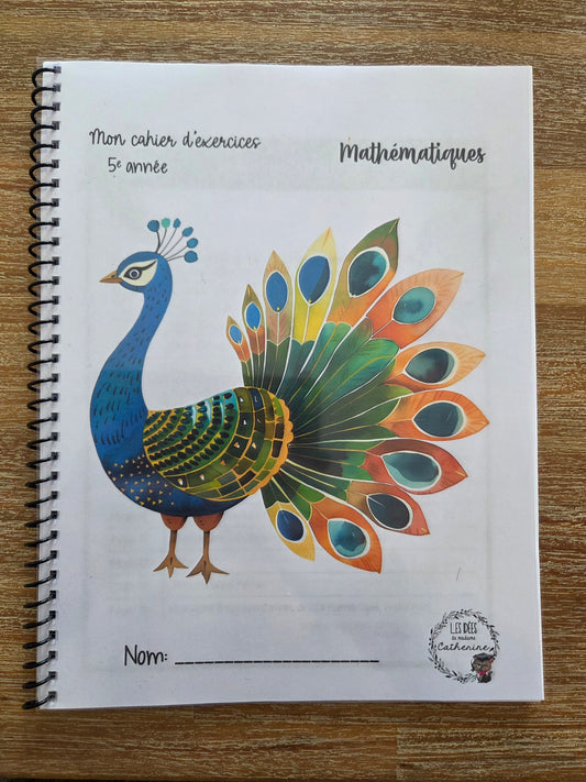 Version IMPRIMÉE & BOUDINÉE - Cahier d'exercices mathématiques - 5e année