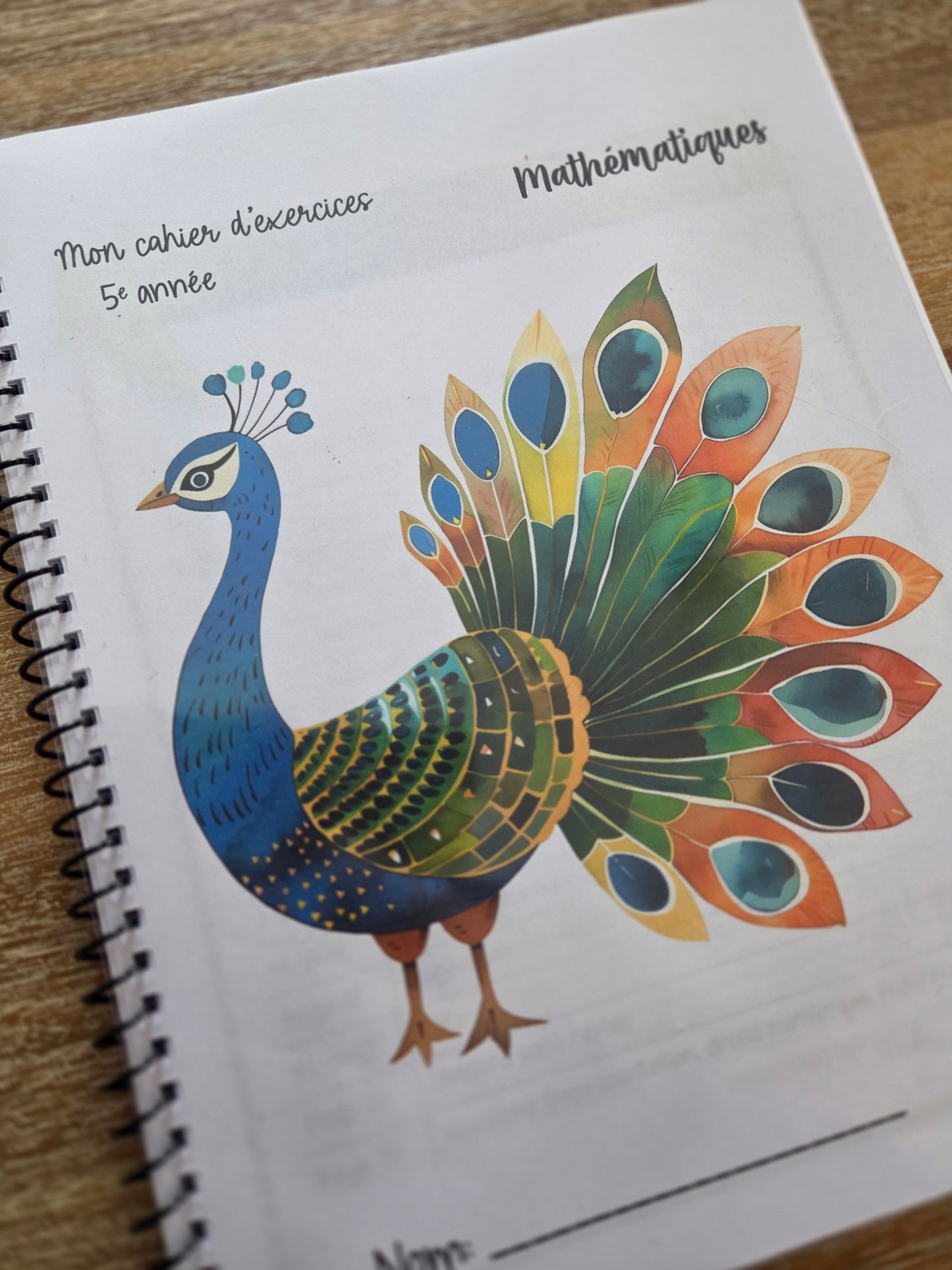 Version IMPRIMÉE & BOUDINÉE - Cahier d'exercices mathématiques - 5e année