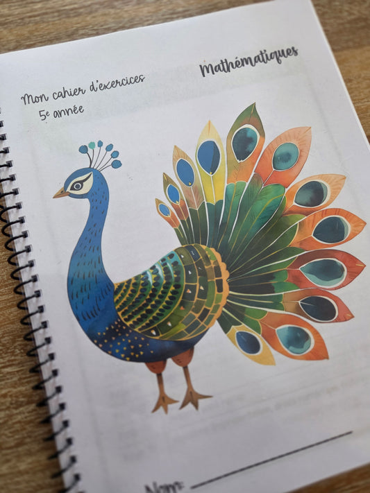 Version IMPRIMÉE & BOUDINÉE - Cahier d'exercices mathématiques - 5e année