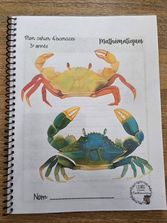 Version IMPRIMÉE & BOUDINÉE - Cahier d'exercices mathématiques - 3e année
