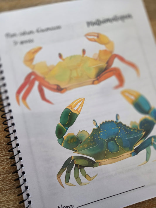 Version IMPRIMÉE & BOUDINÉE - Cahier d'exercices mathématiques - 3e année