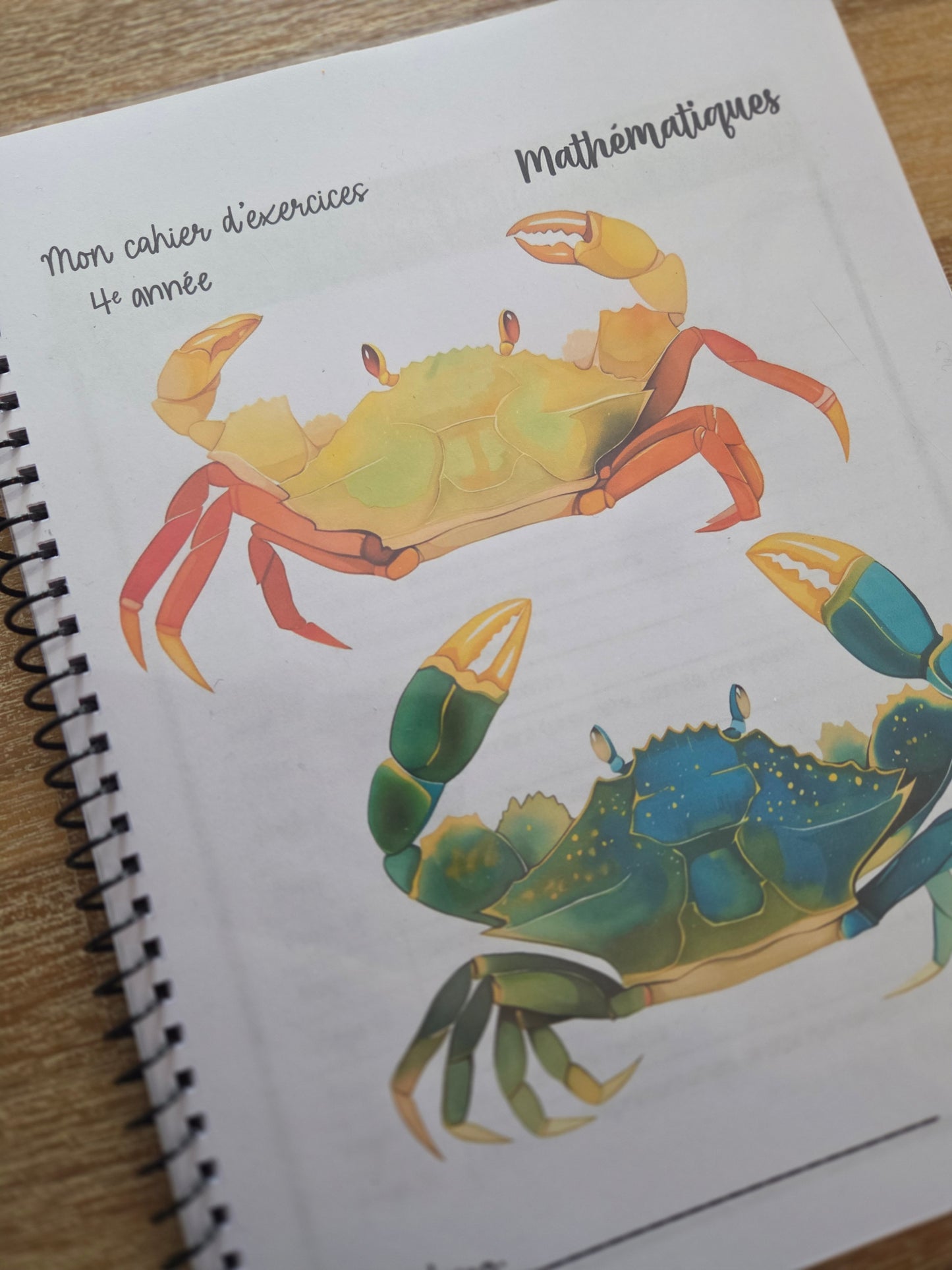 Version IMPRIMÉE & BOUDINÉE - Cahier d'exercices mathématiques - 4e année