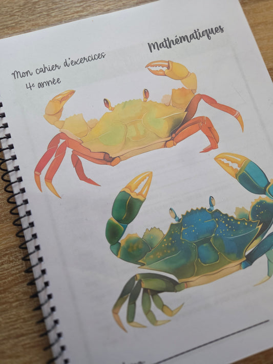 Version IMPRIMÉE & BOUDINÉE - Cahier d'exercices mathématiques - 4e année