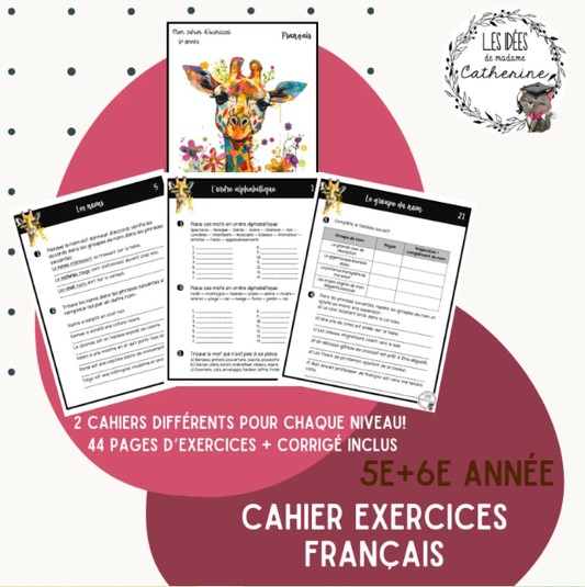 Français - ENSEMBLE cahiers exercices 5e et 6e