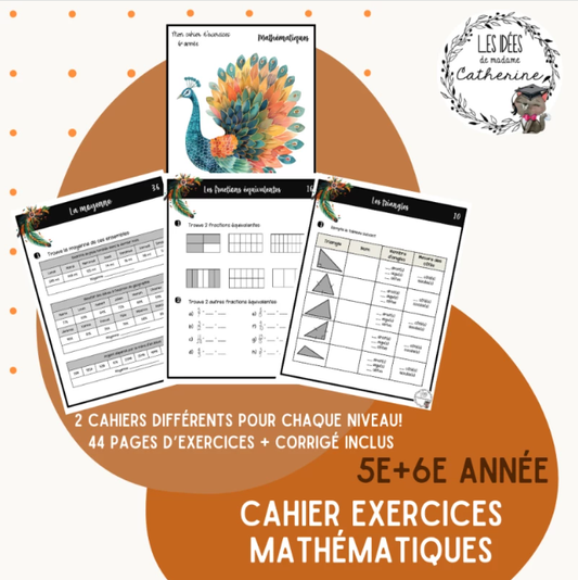 Mathématiques - cahiers d'exercices 5e et 6e année - ENSEMBLE