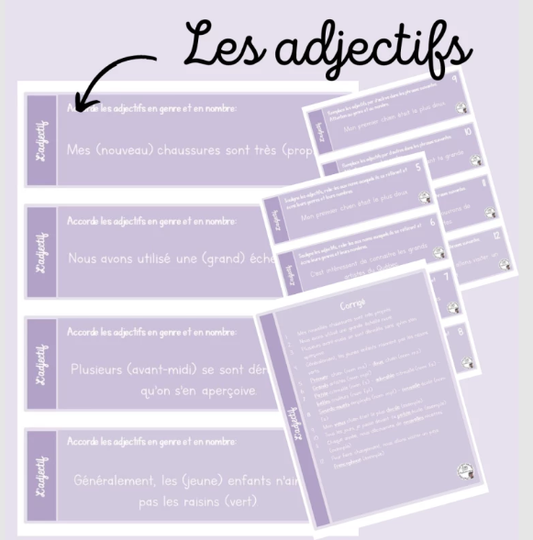 Français - Cartes à tâches - Les adjectifs