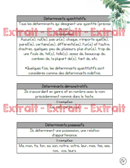 Affiche - Outils - Les déterminants