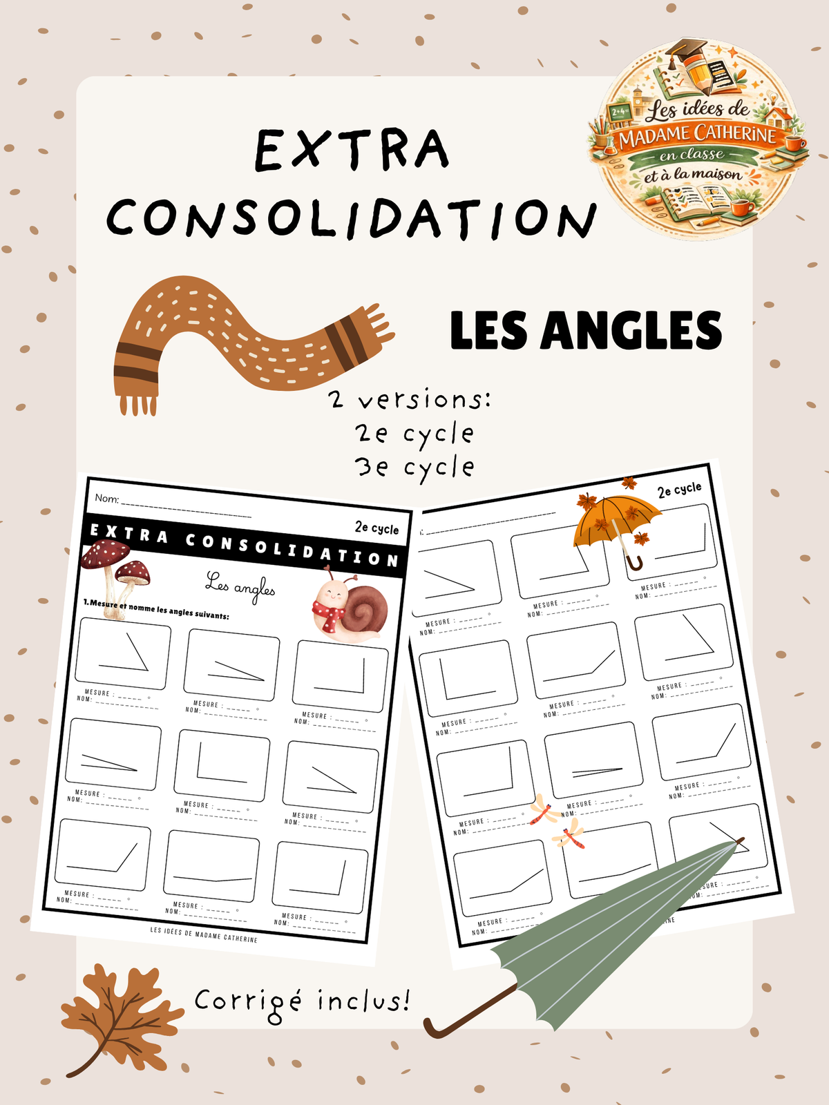 Extra consolidation - Les angles - 2e cycle