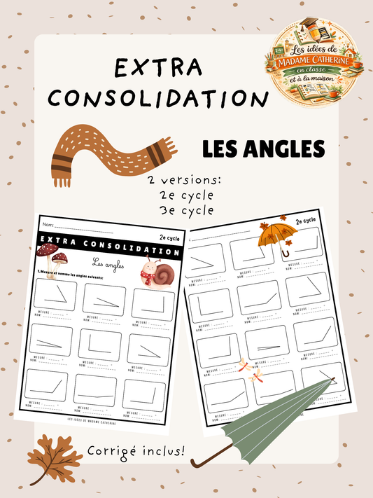 Extra consolidation - Les angles - 3e cycle