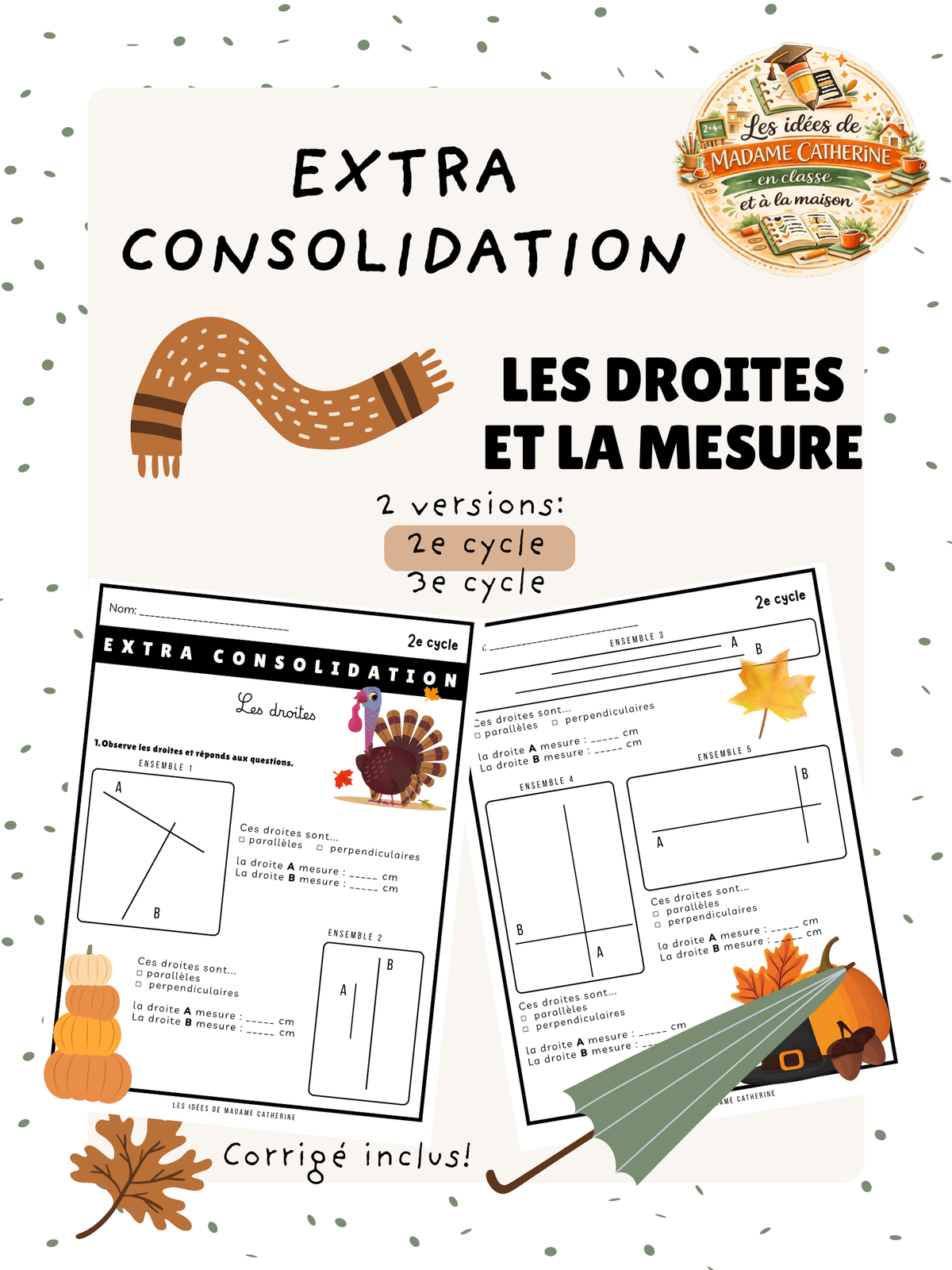 Extra consolidation - Les droites et la mesure - 2e cycle