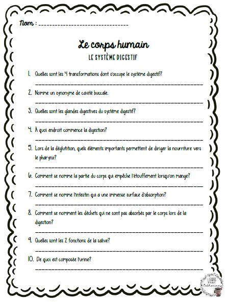 Sciences - Le corps humain - 3e cycle