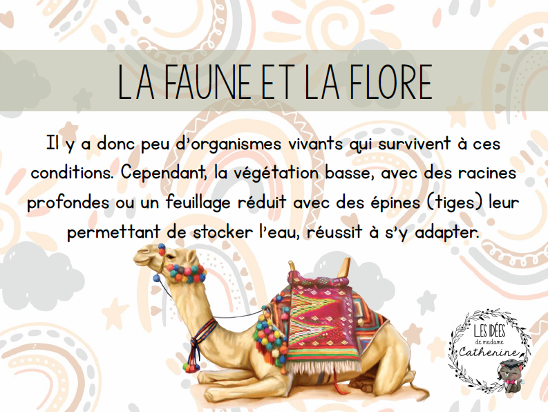 Sciences - La terre et ses composantes - 3e cycle