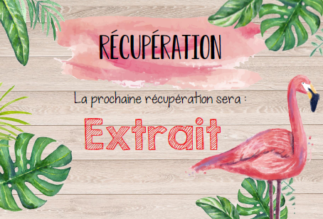 Affichage classe - Thématique: bois, floral, estival, rustique