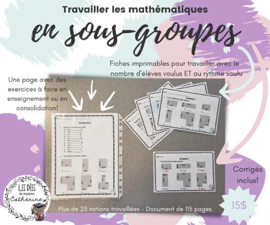 Mathématiques - Enseignement en sous-groupes/ateliers
