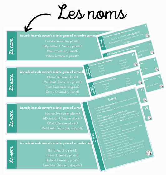 Français - Cartes à tâches - Les noms