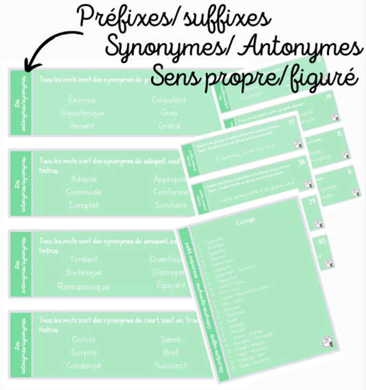 Français - Cartes à tâches - Préfixes/suffixes-Synonymes-Propre/figuré
